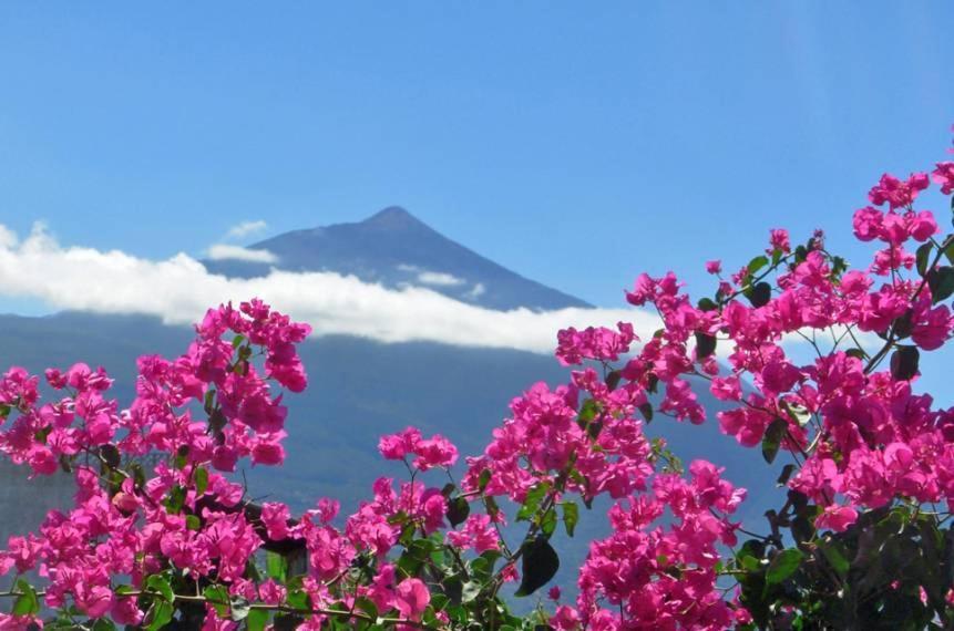 Finca Casa Vieja Santa Ursula (Tenerife) Bagian luar foto