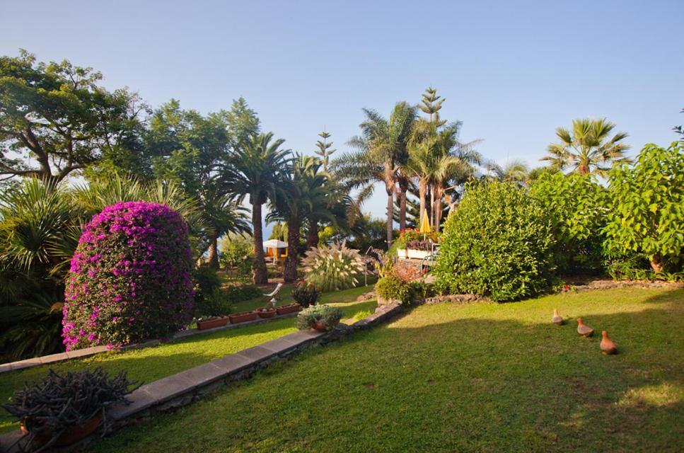 Finca Casa Vieja Santa Ursula (Tenerife) Bagian luar foto